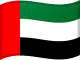 UAE Flag